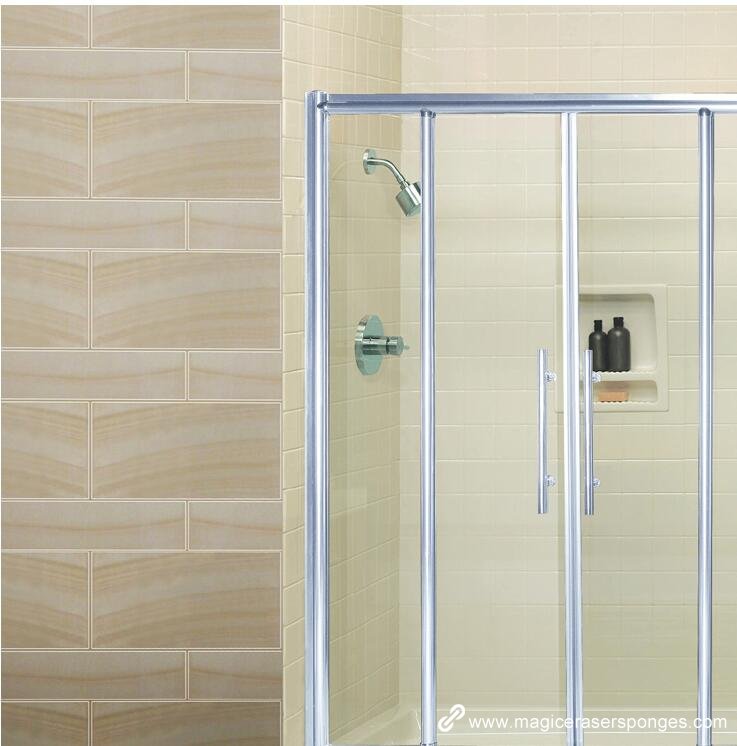 shower toon glass cleaning
