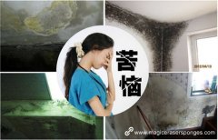 Extreme excellent wall cleaning ability melamine sponge 