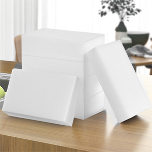 f568bfad-a60f-48c0-9835-a300452c9979.__CR0,0,300,300_PT0_SX300_V1___.jpg